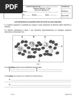 teste 9º ano circulatório.pdf