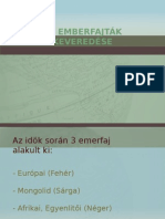 Az Emberfajták Keveredése 