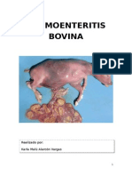 Neumoenteritis