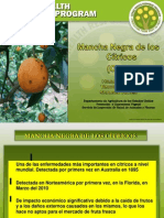 MANCHA NEGRA Hilda Gómez PDF