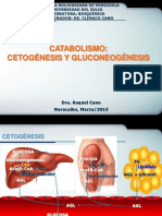 Catabolismo. Síntesis de Cuerpos Cetónicos y Gluconeogénesis PDF