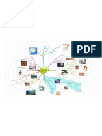 Doença de Machado-Joseph, Mapa Mental, Raquel André Costeira