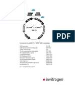 Pcdna3 3TOPO TA Map