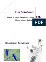 Clostridium botulinum: Bacteria causante del botulismo