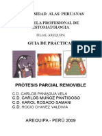 GUIA PPR ACTUAL.doc