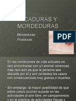 Primeros Auxilios Tema 7. Picaduras y Mordeduras