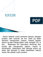 ENZIM