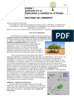 estructura-del-ambiente.doc