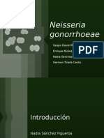  Neisseria Gonorrhoeae