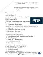 Techniques de Gestion de Trésorerie Dans Un Groupe de Sociétés PDF