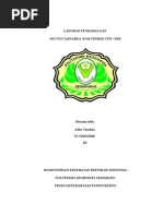 Download Laporan Pendahuluan Post Sc Indikasi Dkp by Adha Tazakka SN265712030 doc pdf