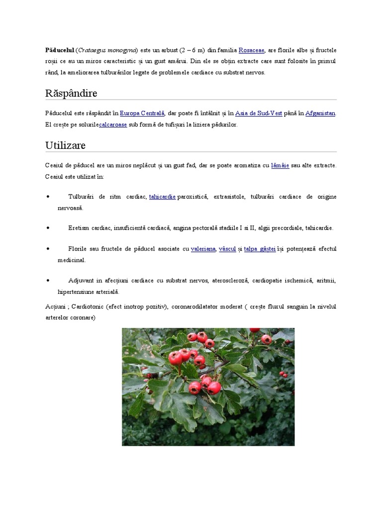Paducel | PDF