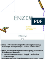 2. ENZIM