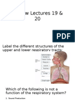 Review Questions 19-20