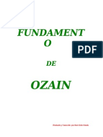 73866364-ozain (2)