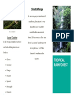 tropical rainforest brochure (turn in)