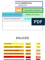 Tablas de Hamer Interactivas BUENÍSIMO