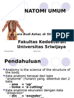 IT 4 - Anatomi Umum - MBA