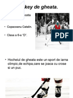 Hockey de Gheata