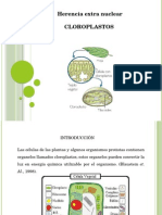 Herencia extra nuclear Cloroplasto.pptx