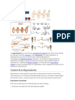 Rproduccion Asexual en Los Animales