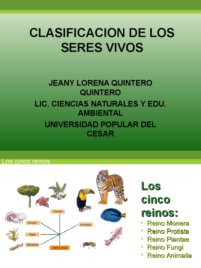 Los Cinco Reinos | PDF | Plantas | Hongo