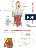 Digestivo Part 2d