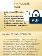 Mandiles Seguridad e Higiene Industirial