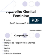 Aparelho Genital Feminino