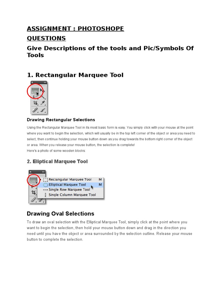 Assignment Questions Give Descriptions of The Tools and Pic