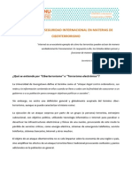 Ficha VIII MNU - Ciberterrorismo (Consejo de Seguridad)