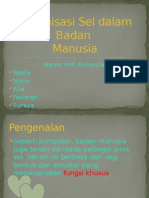 Organisasi Sel Dalam Badan Manusia