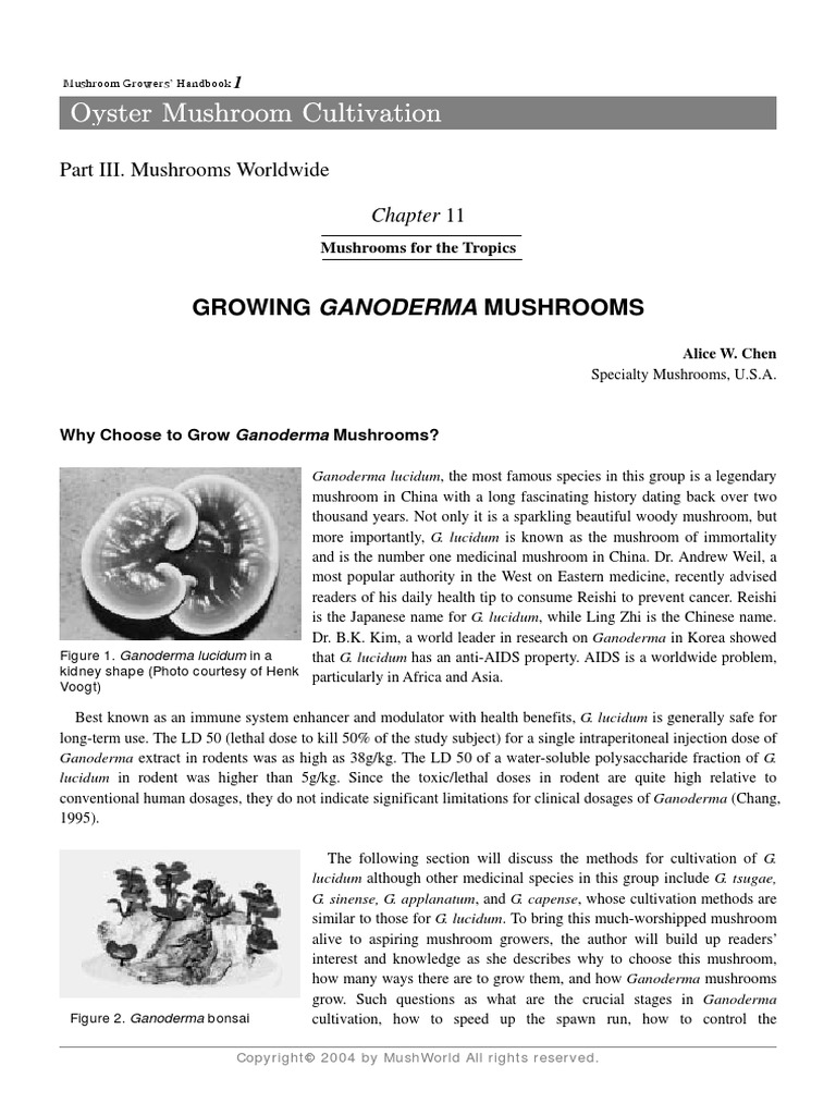 Mushroom Growers Handbook 1 Mushworld Com Chapter 11 PDF PDF