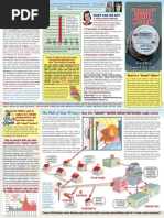 Smart Meter dangers 2-page brochure