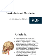 Vaskularisasi Orofacial