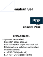 16.Kematian Sel.dr.AYB.ppt