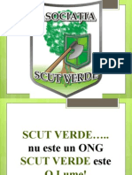 scutverde (1)