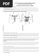 _EXERCÍCIOS reprodução