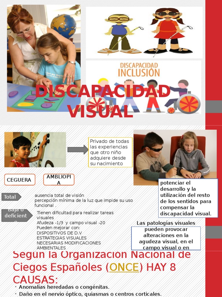 Educación y desafíos de la discapacidad visual | PDF | Ojo humano ...