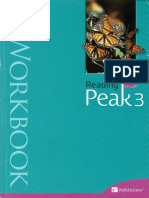 Reading Peak 3 Workbook