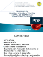 Fecundacion 1ra 2da y 3ra Semana de Desarrollo