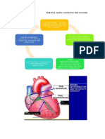 Laboratorio de Fisio Red Corazon