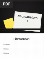 Neuroanatomia