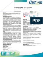 Procesamiento Del Gas Natural