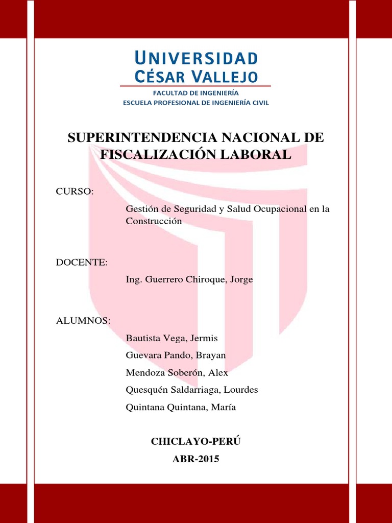 Funciones y Estructura de SUNAFIL | PDF | Derecho laboral | Ley Pública