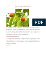 MANDARINA Propiedades