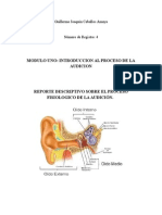 Procesos de La Audicion