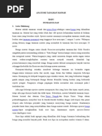 Download ANATOMI TANAMAN MAWAR by Bustanoel SN265965012 doc pdf