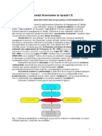 Evaluarea Conformităţii Materialelor În SP Aţiul CE