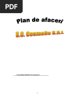 Plan-de-Afaceri-CosmoRo